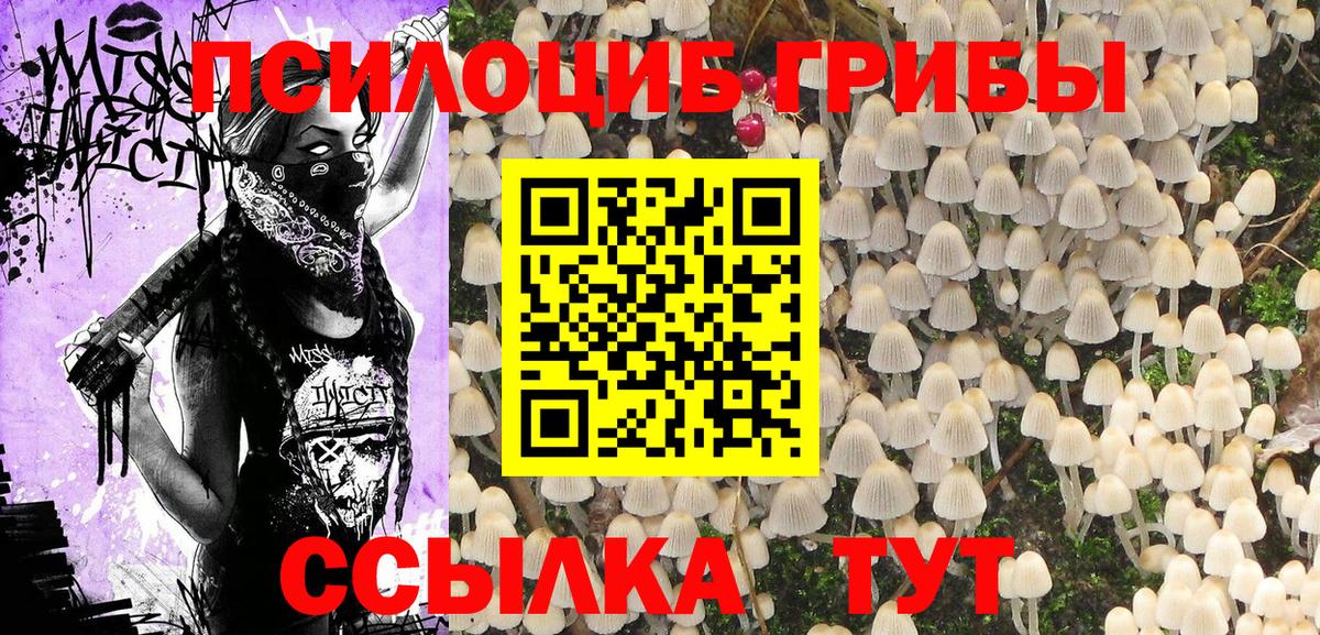Галлюциногенные грибы ЛСД Шадринск