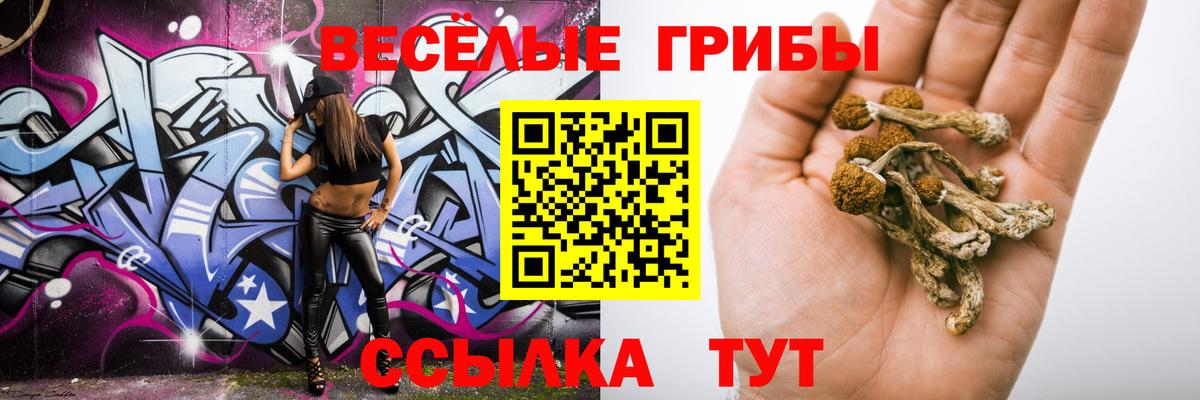наркотики  Псилоцибиновые грибы Cubensis  Галлюциногенные грибы ЛСД  Вход с VPN  Шадринск 